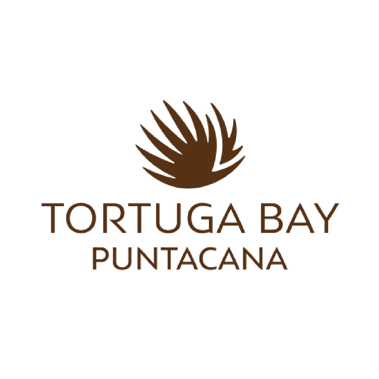 Bahía Tortuga