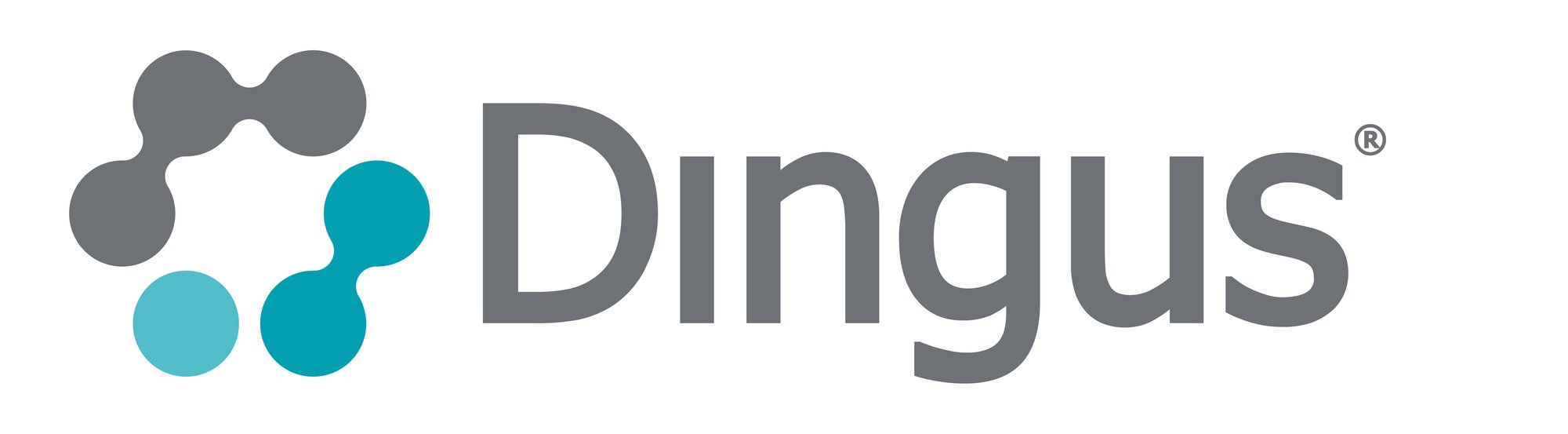 Dingus® logo