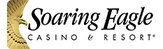 SoaringEagle_Logo