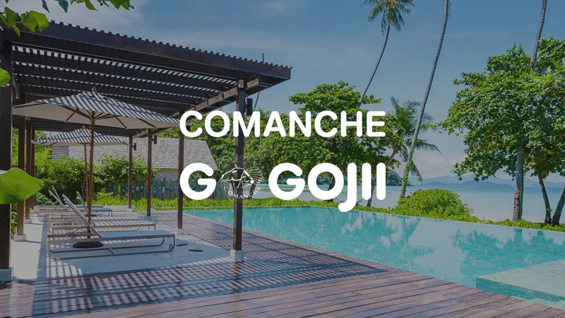Comanche International logo superimposed on an image of an outdoor pool.