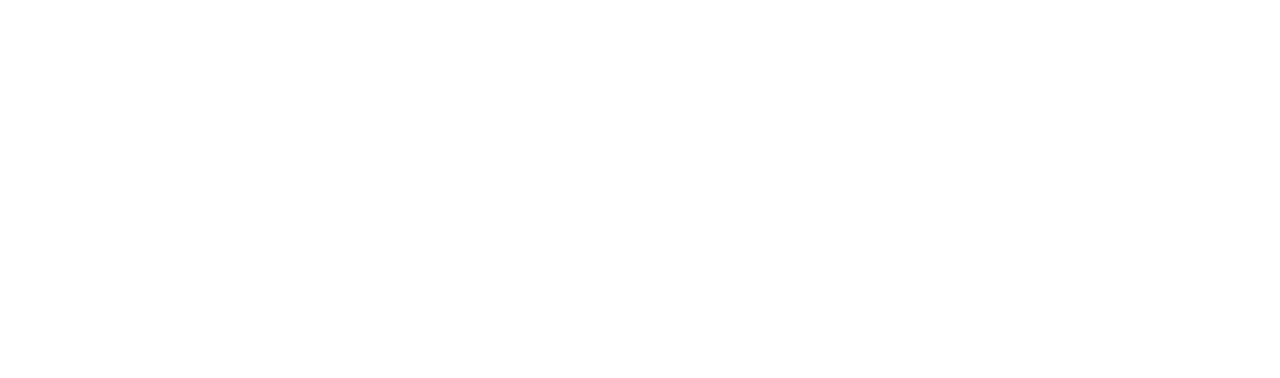 Duetto