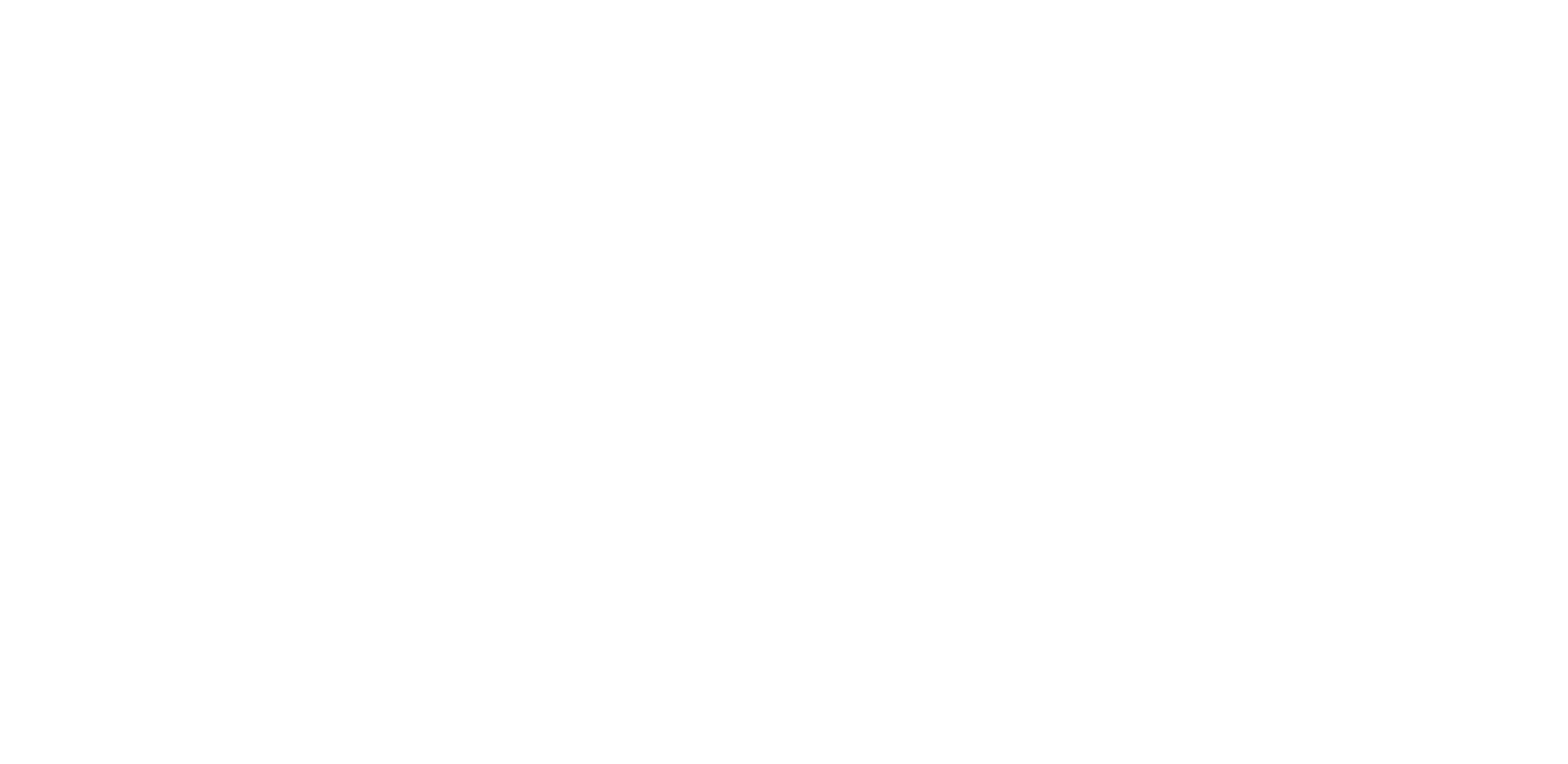 Duetto