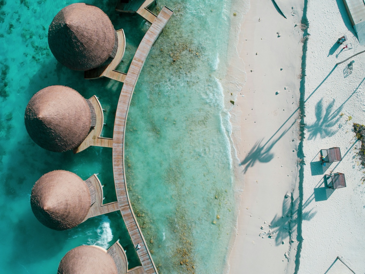 adam-aseedh-nIkZHqGgsZI-unsplash