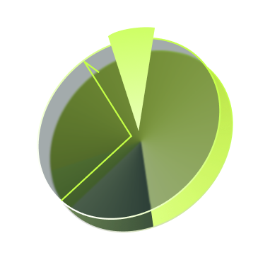 gestión por excepción